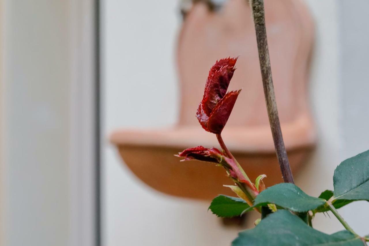 La Corte Di Piero Daire Floransa Dış mekan fotoğraf